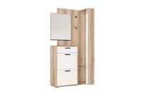 Прихожая №4 (зеркальная) (Дуб Делано/Белый)