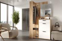 Прихожая №4 (Дуб Делано/Белый)